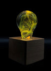 BULB & BASE