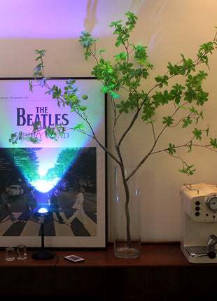 Sunset Projector Table Lamp-2